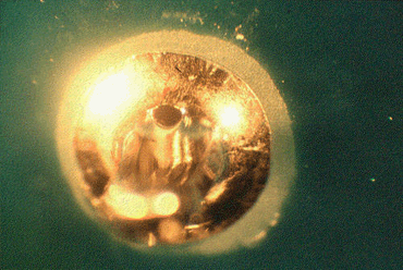 Figure 1: Blow Hole Figure 1: Blow Hole